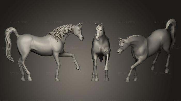 Статуэтки животных (Арабская лошадь, STKJ_0709) 3D модель для ЧПУ станка
